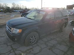 Salvage cars for sale at Fort Wayne, IN auction: 2012 Ford Escape XLT