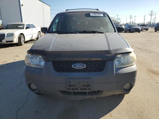 2005 Ford Escape XLT