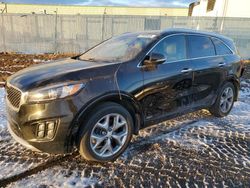 Salvage cars for sale at Rocky View County, AB auction: 2016 KIA Sorento SX