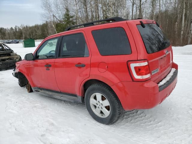 2009 Ford Escape XLT