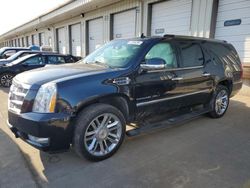 Salvage cars for sale at Louisville, KY auction: 2014 Cadillac Escalade ESV Platinum