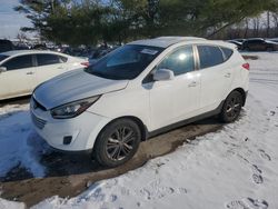 Salvage cars for sale at Lexington, KY auction: 2015 Hyundai Tucson GLS