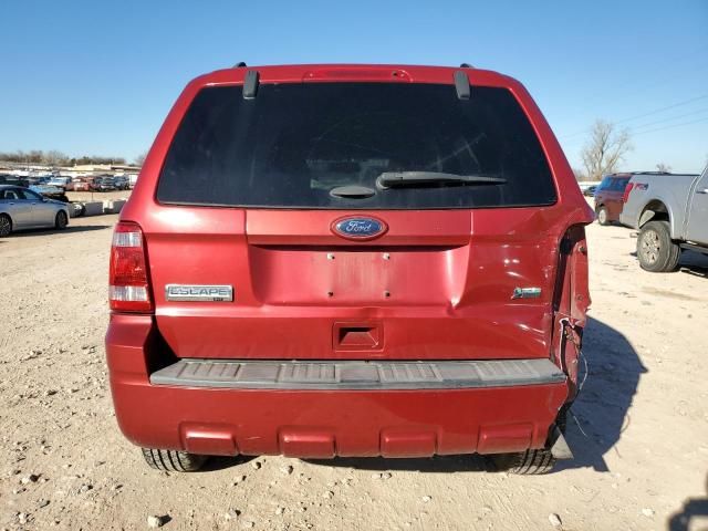 2012 Ford Escape XLT