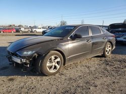 Salvage cars for sale at Eugene, OR auction: 2020 Hyundai Sonata SE