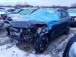 Salvage cars for sale at Ham Lake, MN auction: 2024 KIA Seltos SX