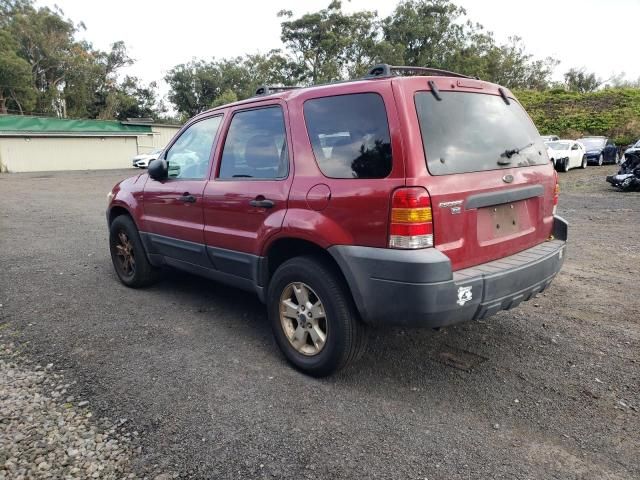 2005 Ford Escape XLT