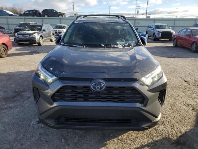 2024 Toyota Rav4 XLE