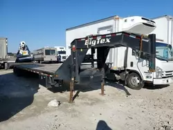 Bxbo Trailer salvage cars for sale: 2019 Bxbo Trailer