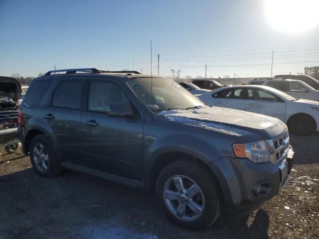 2010 Ford Escape Limited