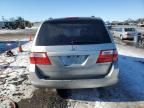 2005 Honda Odyssey EXL