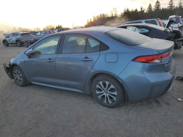 2021 Toyota Corolla