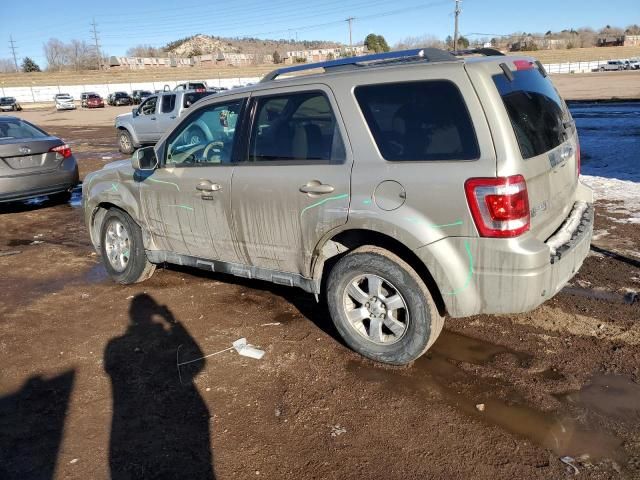 2010 Ford Escape Limited