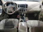 2007 Ford Escape XLT