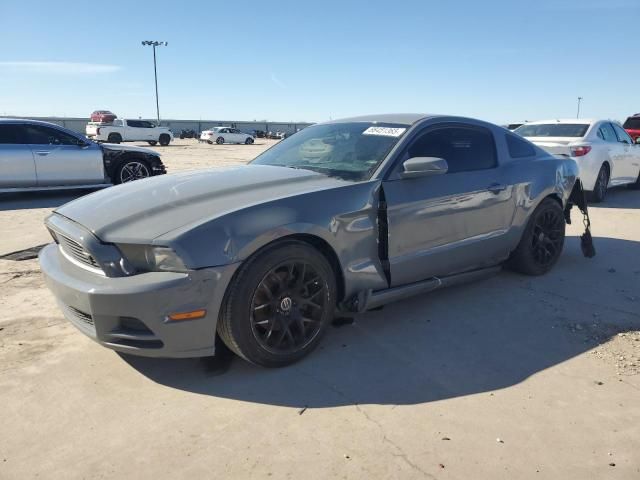 2013 Ford Mustang