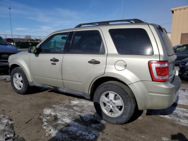 2010 Ford Escape XLT