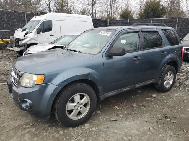 2011 Ford Escape XLT