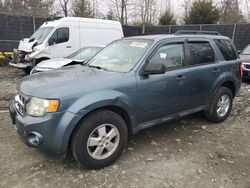 Ford Escape Vehiculos salvage en venta: 2011 Ford Escape XLT