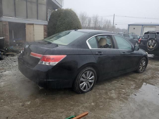 2011 Honda Accord EXL