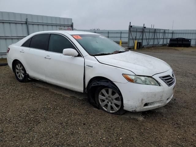 2009 Toyota Camry Hybrid