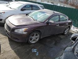 Salvage cars for sale at Exeter, RI auction: 2014 Nissan Maxima S