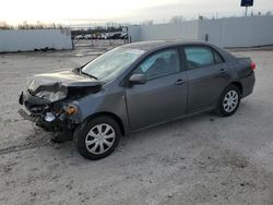 Carros salvage a la venta en subasta: 2011 Toyota Corolla Base