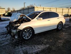 Salvage cars for sale at Hillsborough, NJ auction: 2013 Honda Accord EXL