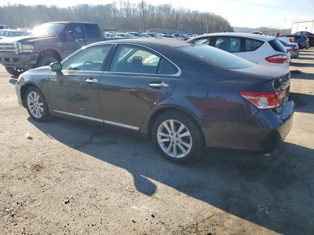 2010 Lexus ES 350