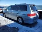 2008 Honda Odyssey EXL