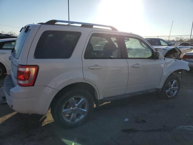 2011 Ford Escape Limited