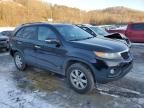 2011 KIA Sorento Base