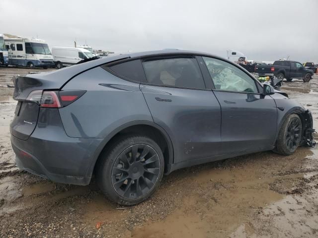 2020 Tesla Model Y