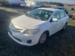 Salvage cars for sale at Elmsdale, NS auction: 2012 Toyota Corolla Base