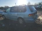 2004 Honda Odyssey EXL