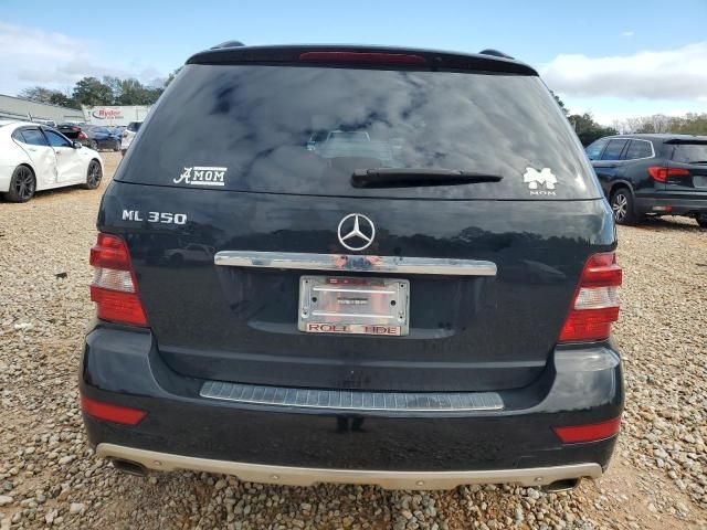 2010 Mercedes-Benz ML 350