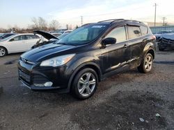 Salvage cars for sale at auction: 2013 Ford Escape SE