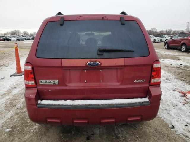 2008 Ford Escape XLT