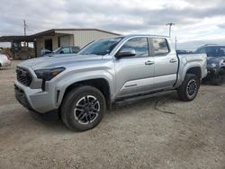 2024 Toyota Tacoma Double Cab en venta en Temple, TX