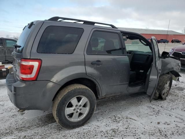 2010 Ford Escape XLT