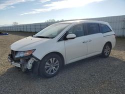 Honda Odyssey exl salvage cars for sale: 2016 Honda Odyssey EXL