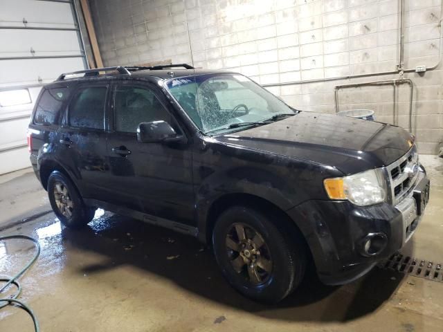 2011 Ford Escape Limited