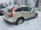 2009 Honda CR-V EX