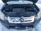 2006 Honda Pilot EX