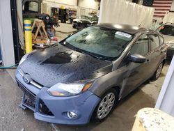 Salvage cars for sale at Earlington, KY auction: 2012 Ford Focus SE