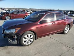 Honda salvage cars for sale: 2010 Honda Accord EXL