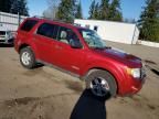 2008 Ford Escape XLT