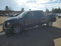 2013 Ford F150 Supercrew en venta en Gaston, SC