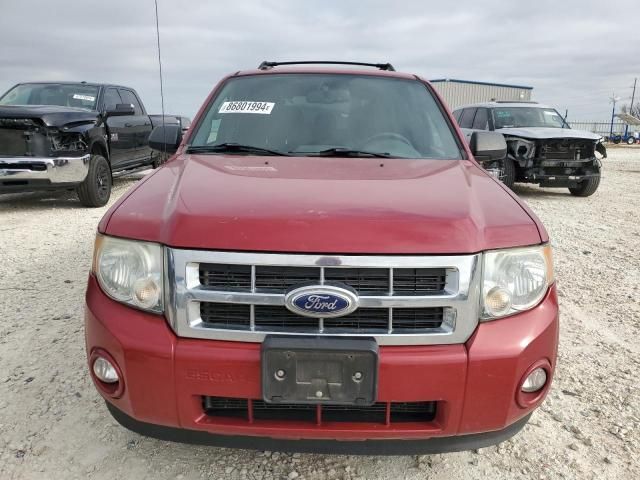 2011 Ford Escape XLT