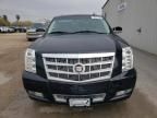 2012 Cadillac Escalade Platinum