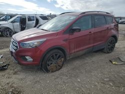 Salvage cars for sale at Kansas City, KS auction: 2019 Ford Escape SE