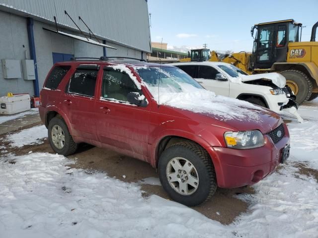 2006 Ford Escape Limited